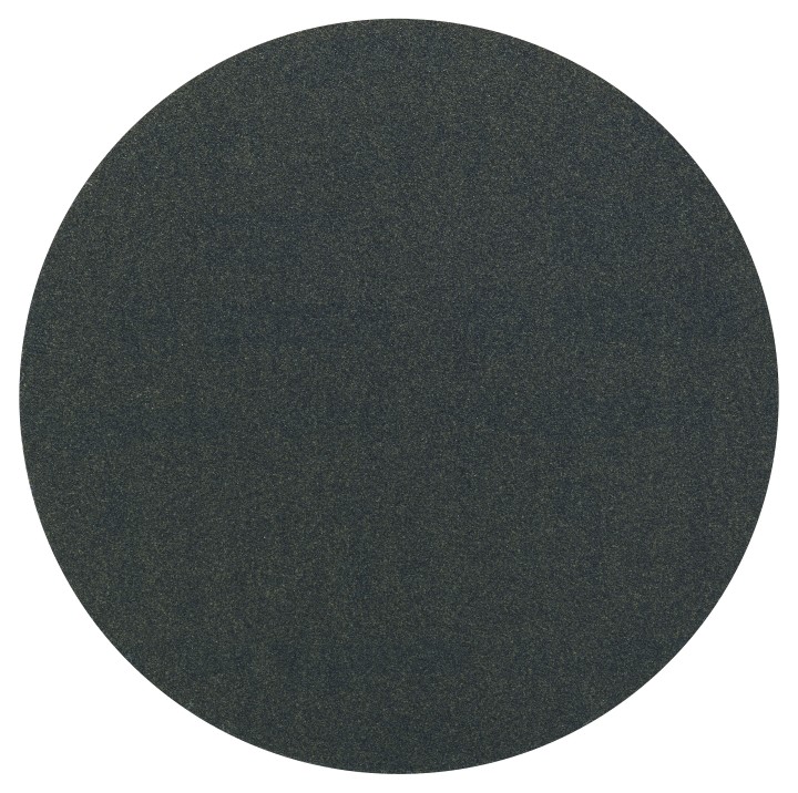 10 Disques ponçage PRO F355 11