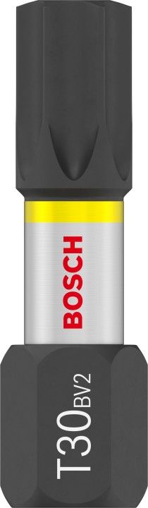 25 Embouts PRO T30 25mm