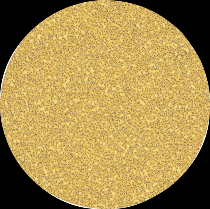 50 disc C470 EXPERT 125mm G40