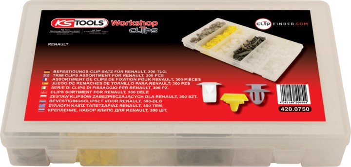 Agrafes- Renault 300pcs