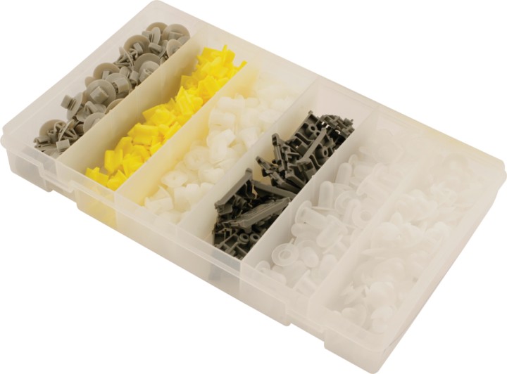 Agrafes- Renault 300pcs