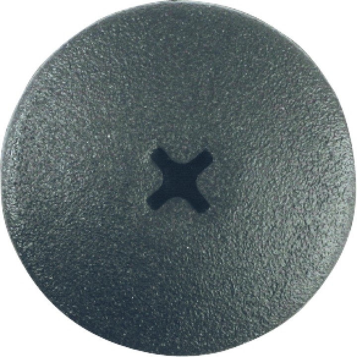 Agrafes à pousser - Audi 10pcs