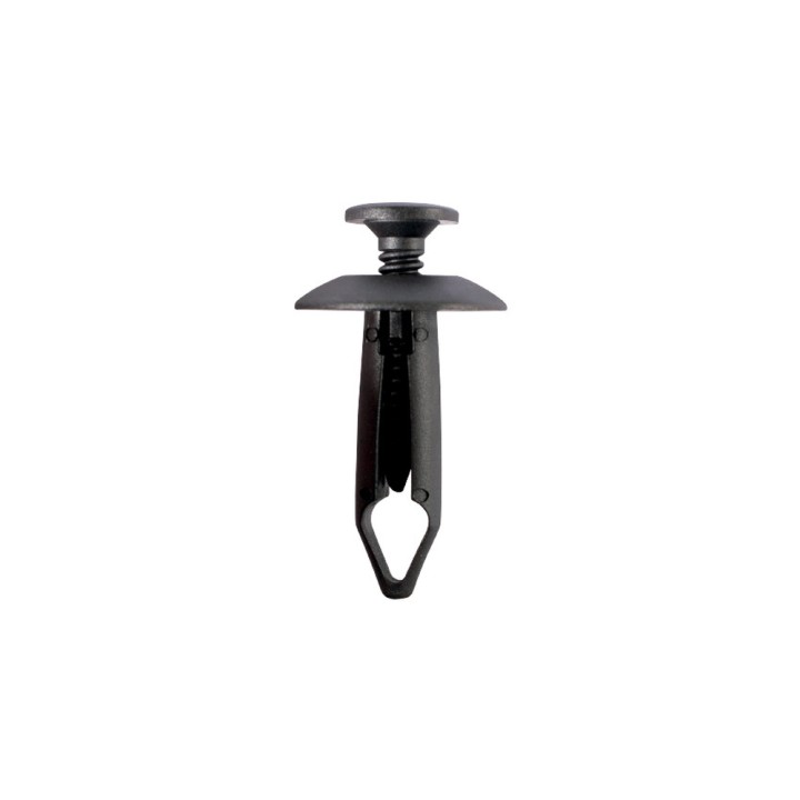 Agrafes à pousser -Ford 10 pcs
