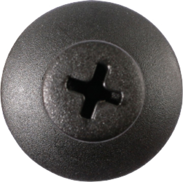 Agrafes à pousser -Ford 10 pcs