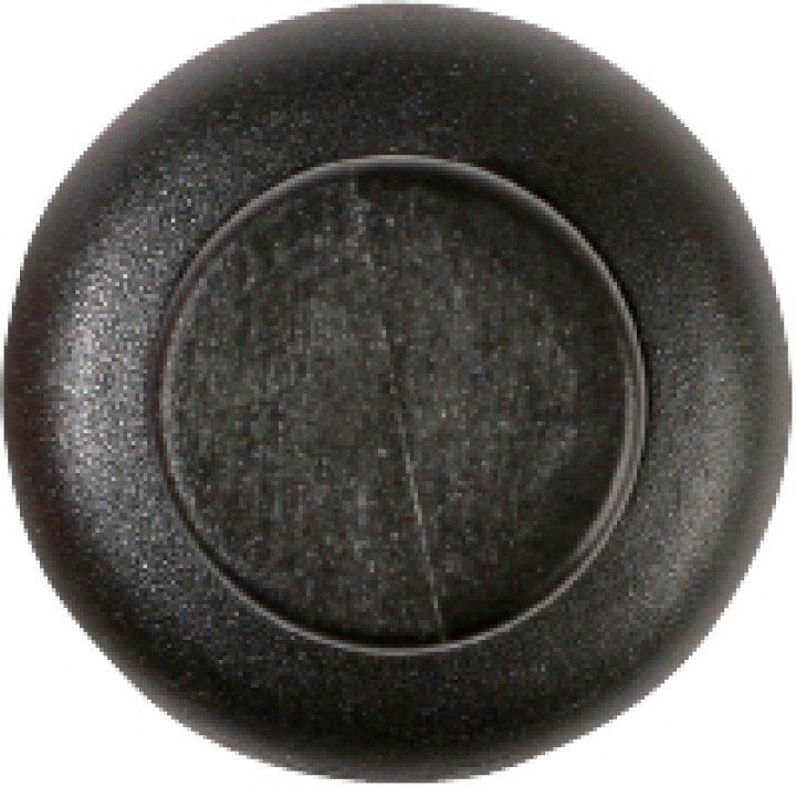 Agrafes à pousser Nissan 10pcs