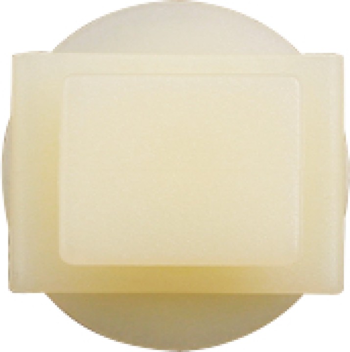 Agrafes garnitures- PSA, 10pcs