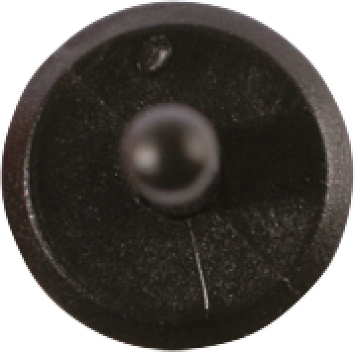 Agrafes rivets Chrsyler, 10pcs