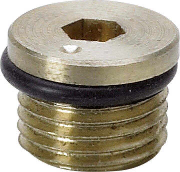 Bouchon de protection 2275.95   G1/4