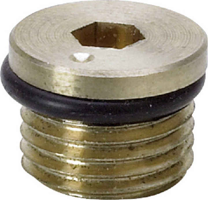 Bouchon de protection 2275.95   G1/4