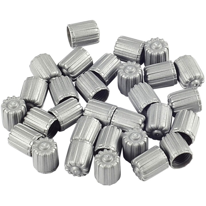 Bouchons de valves TMPS, 25pcs