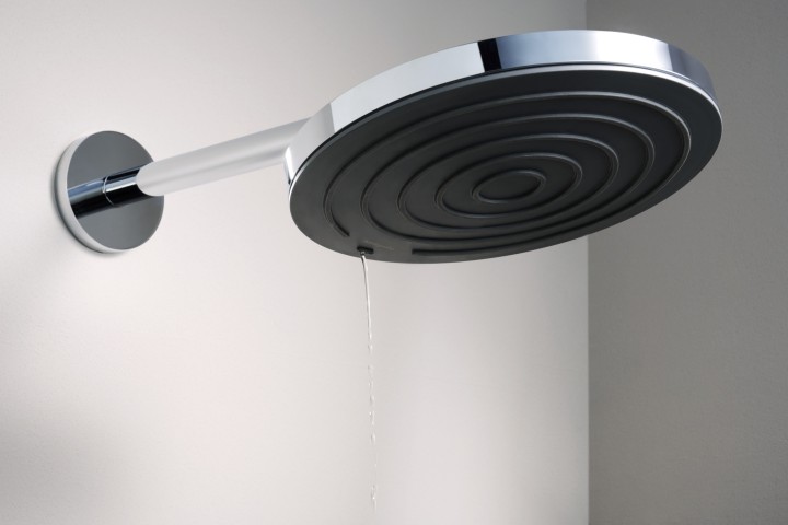 Bras de douche S 39 cm