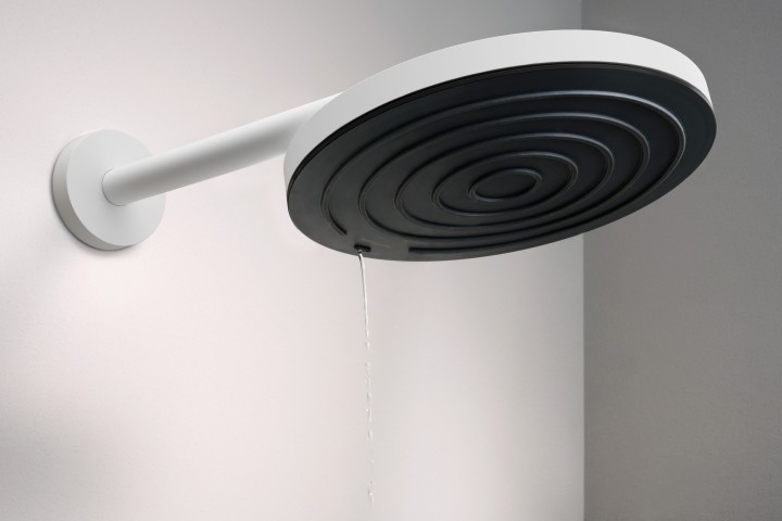 Bras de douche S 39 cm