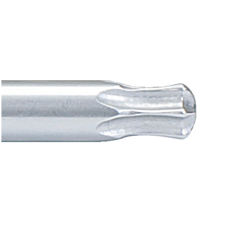 Clé mâle courte TORX T25