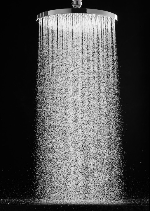 Dch tête Raindance S 240 2jet