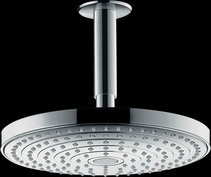Dch tête Raindance S 240 2jet