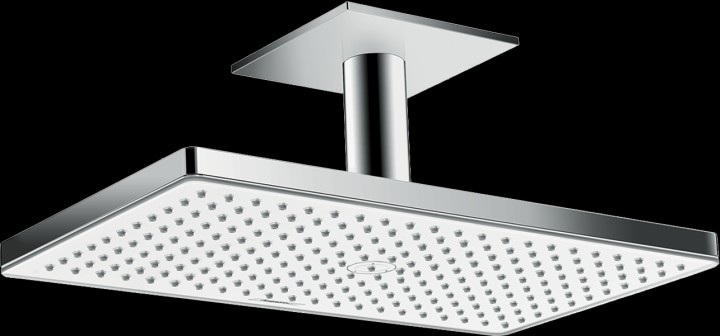 Dch tête Rainmaker 460 1jet
