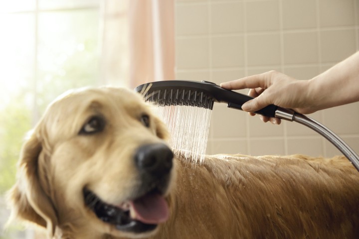 DogShower Douchette pour chien 150 3jet