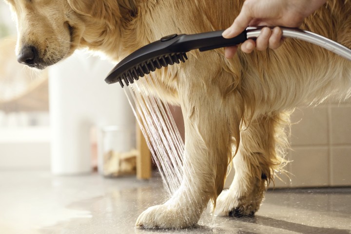 DogShower Douchette pour chien 150 3jet