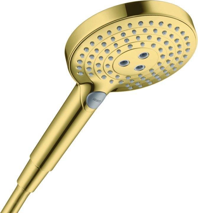 Douchette Raindance S 120 3jet