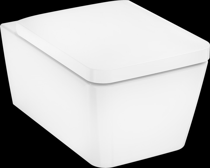 EluPura Q Pack WC susp 540 ss bride