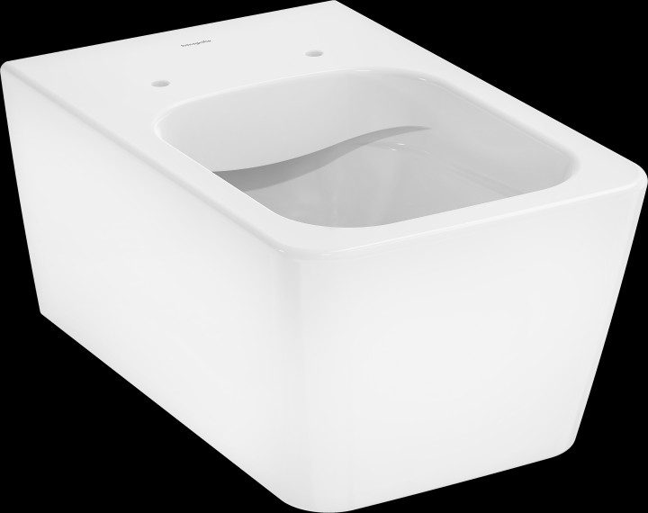 EluPura Q Pack WC susp 540 ss bride