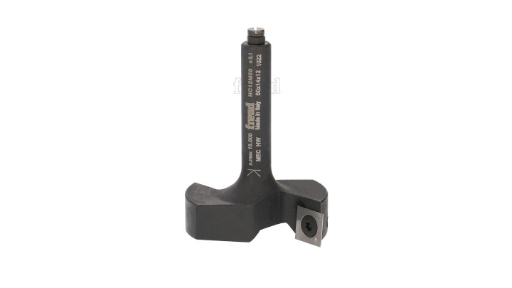 Fraise surfaçage D60 H80 Q12