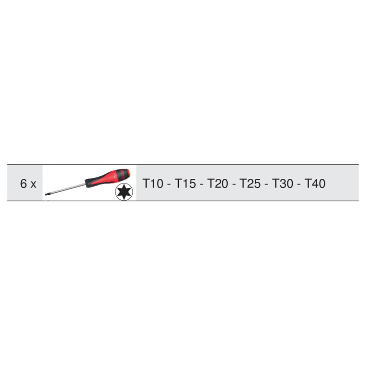 Jeu 6 tournevis ULTIMATE TORX