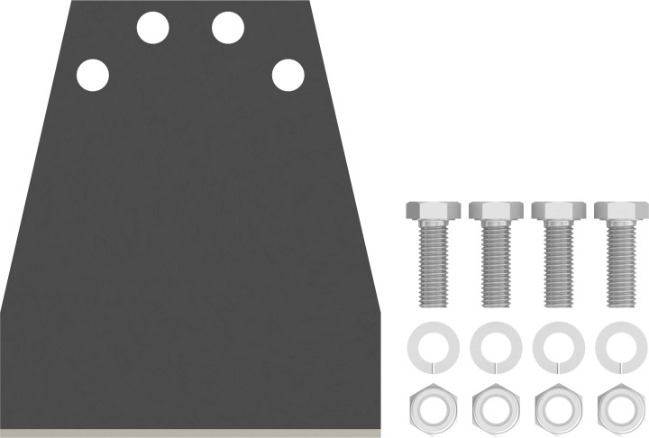 Lame Burin racleur PRO SDS max