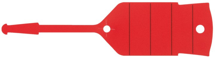 Lot 500 pcs porte-clés rouge