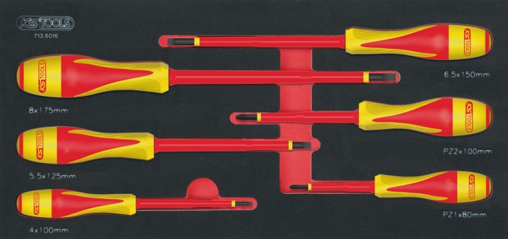 Module tournevis isolés