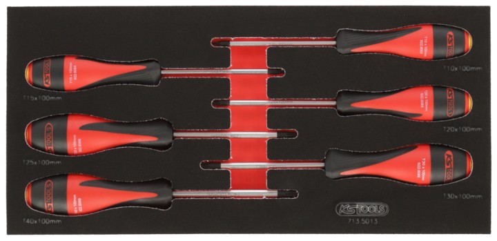 Module tournevis TORX, 6pcs