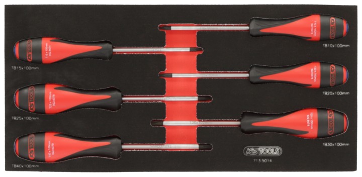 Module tournevis TORX percé