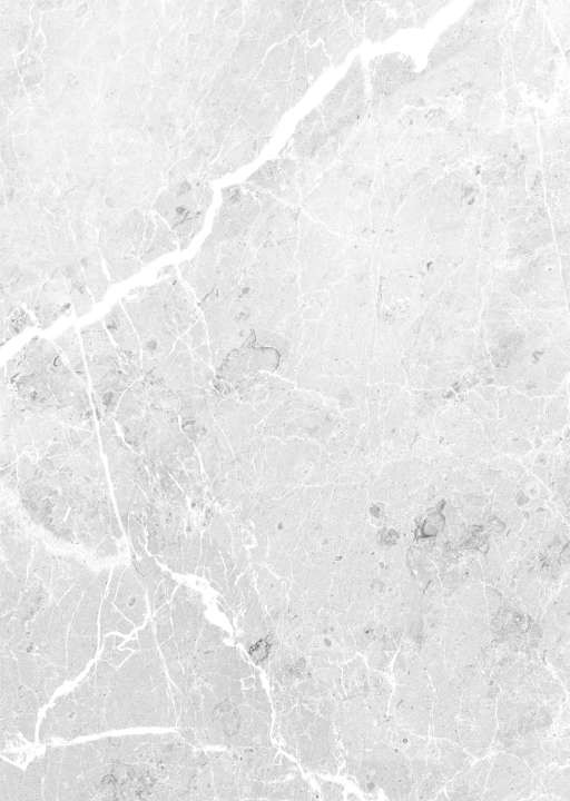 Panneau mural VIPANEL en alu-composite Aspect ARAGON Décor GRIS finition BRILLANT Largeur 1000MM Hauteur 2100MM Epaisseur 3MM PMARA100210354B