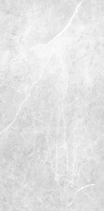 Panneau mural VIPANEL en alu-composite Aspect ARAGON Décor GRIS finition BRILLANT Largeur 1000MM Hauteur 2100MM Epaisseur 3MM PMARA100210354B