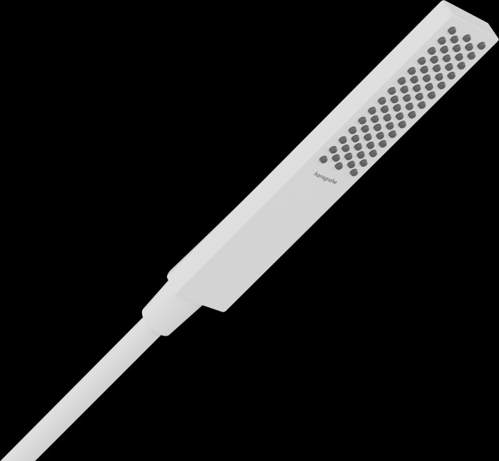 Pulsify E Douchette 100 1 jet EcoSmart
