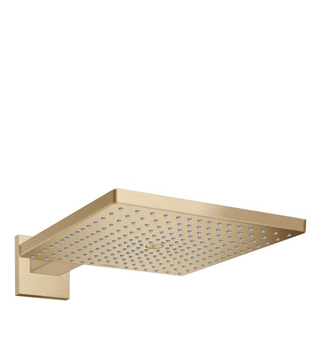 Raindance E Douche de tête 300 Air 1jet