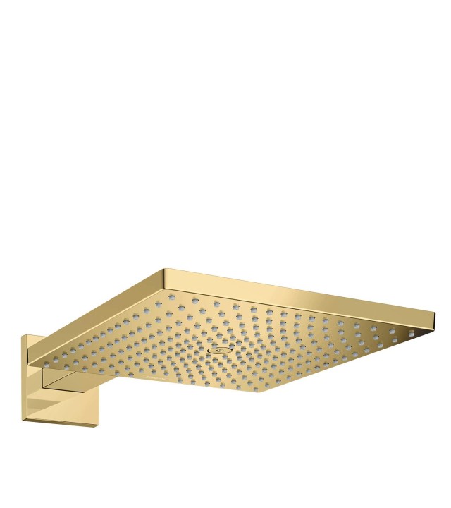 Raindance E Douche de tête 300 Air 1jet