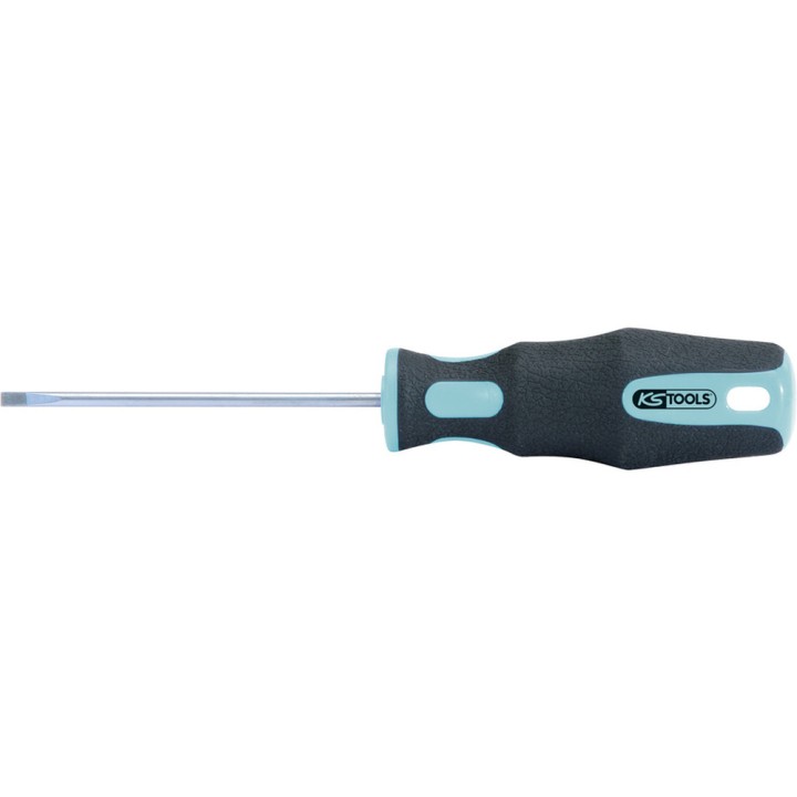 Tournevis INOX Fente, 5 mm