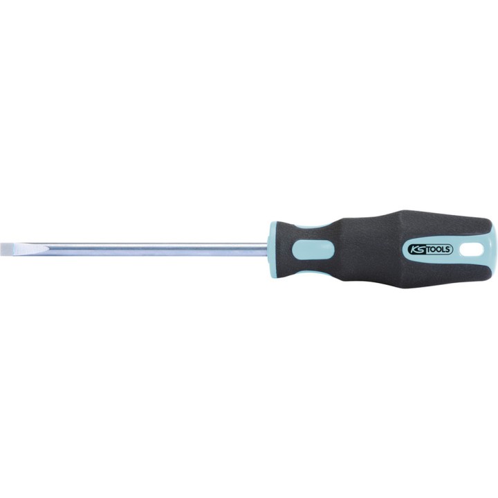 Tournevis INOX FENTE 6mm 100mm