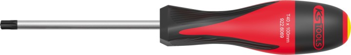 Tournevis TORX, T45 - L.100 mm
