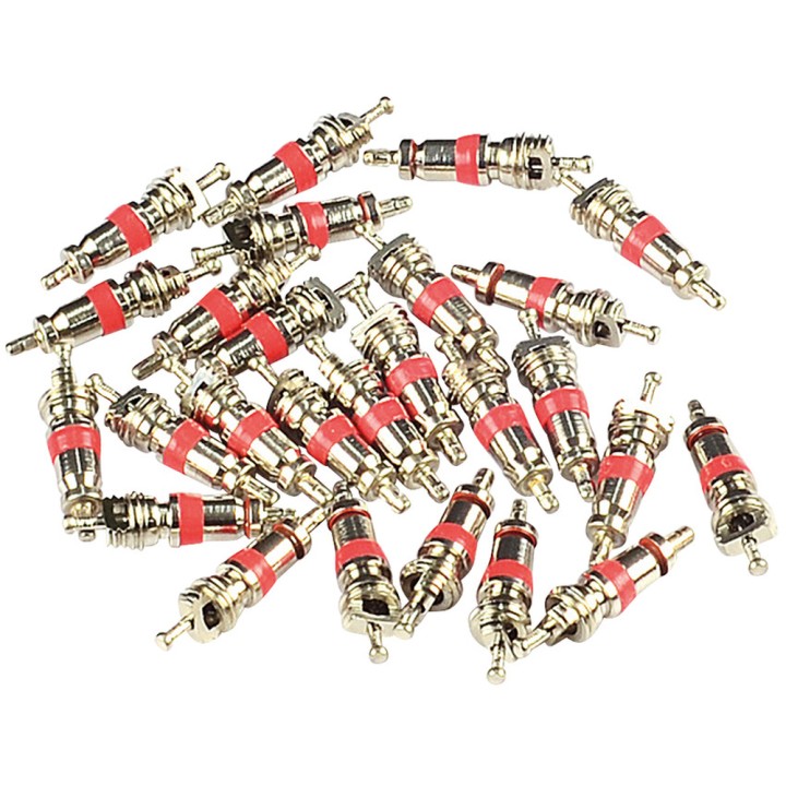 Valves TMPS 25, pces