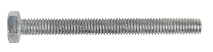 Vis M8 x 70 mm