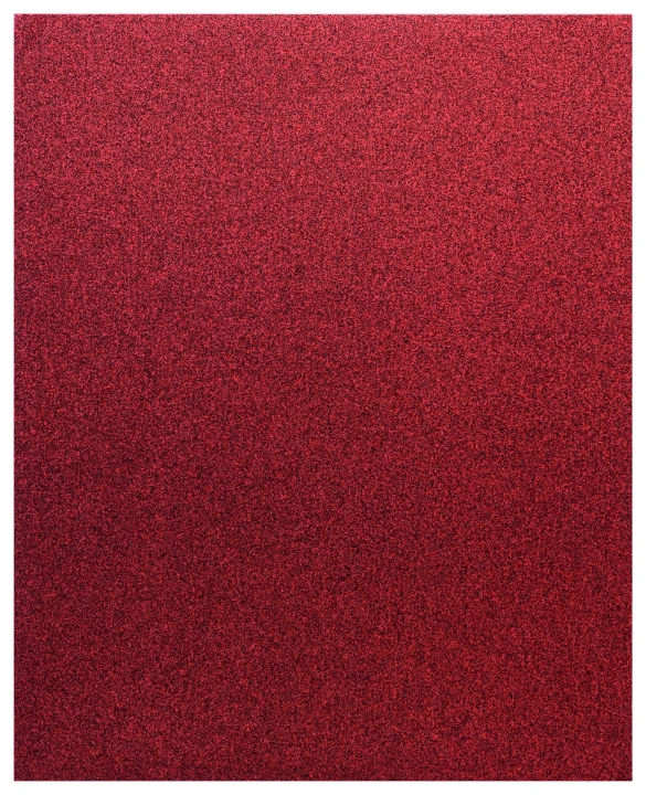 Feuille abras. C420 SfWP 230X2