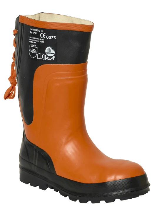 BOTTE FOREST CL3