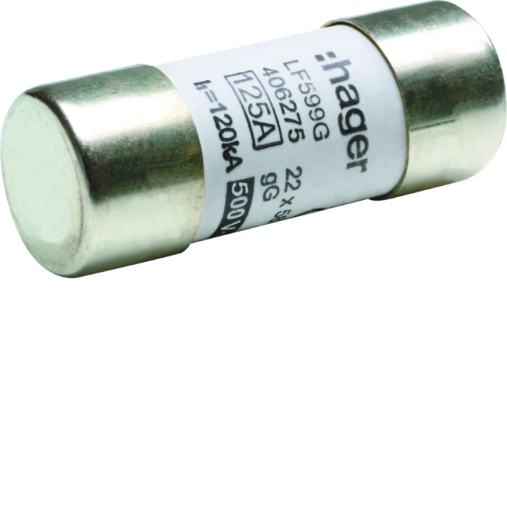 Cartouche Fusible cylindrique 22x58mm gG 125A 500V AC 120kA