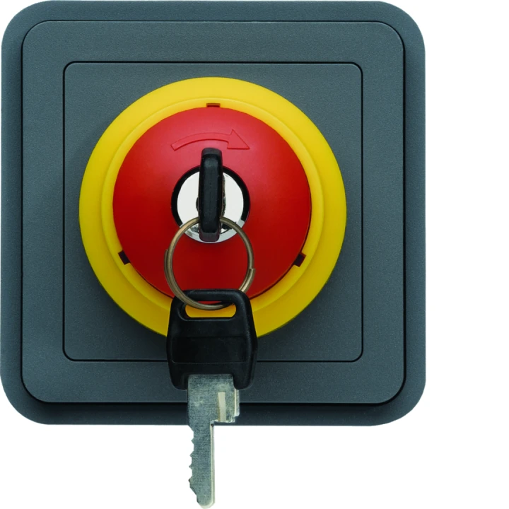cubyko Arrêt d'urgence avec clé associable gris IP55