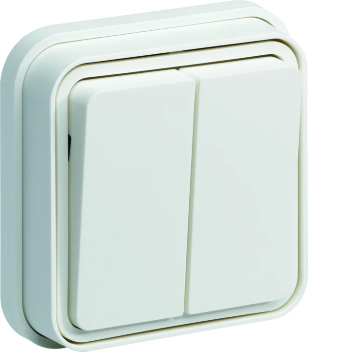 cubyko Double interrupteur va-et-vient  encastré à griffes blanc IP55