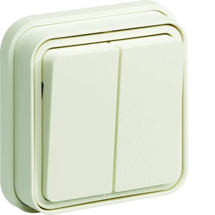 cubyko Double interrupteur va-et-vient  encastré blanc IP55