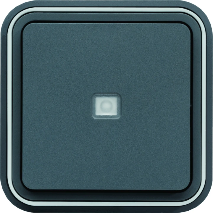cubyko Poussoir 1F à voyant témoin encastré à griffes gris IP55