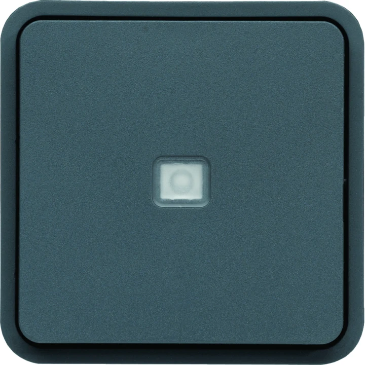 cubyko Poussoir à fermeture 1F à voyant témoin associable gris IP55